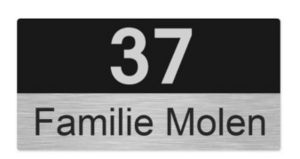 Goedkoop Rvs naambordje voordeur