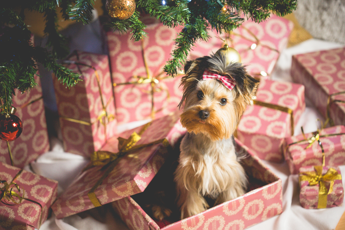 Huisnummer, ook leuk als cadeau!